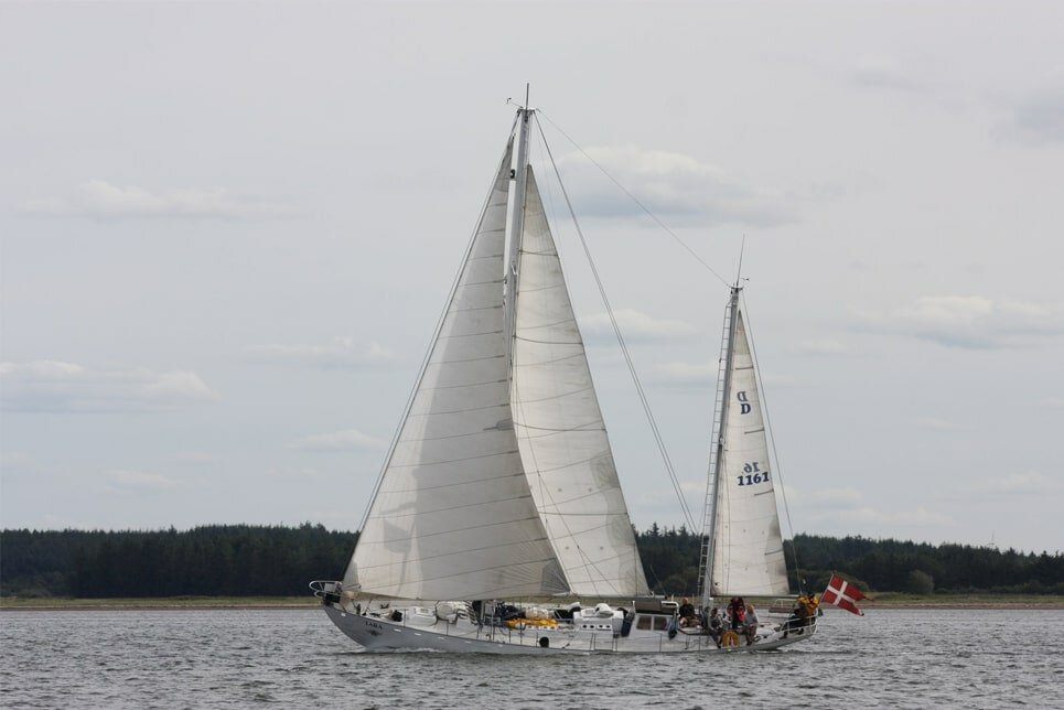 sail training tara